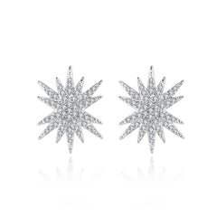 Cubic Zirconia & Silver-Plated Star Stud Earrings